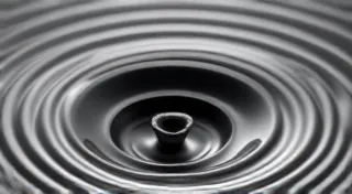 The Silent Symphony:  Exploring the Ultrasonic Frequencies of Mint Varieties