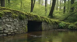The Sunken Orchard:  Rediscovering Lost Varieties of Currants and Gooseberries