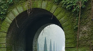 The Verdant Labyrinth: Taming the Complexity of Asphodel Herb Gardens